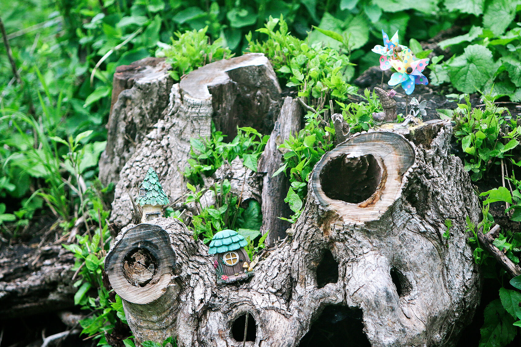 fairy gardens 061322 0173 WEB.jpg